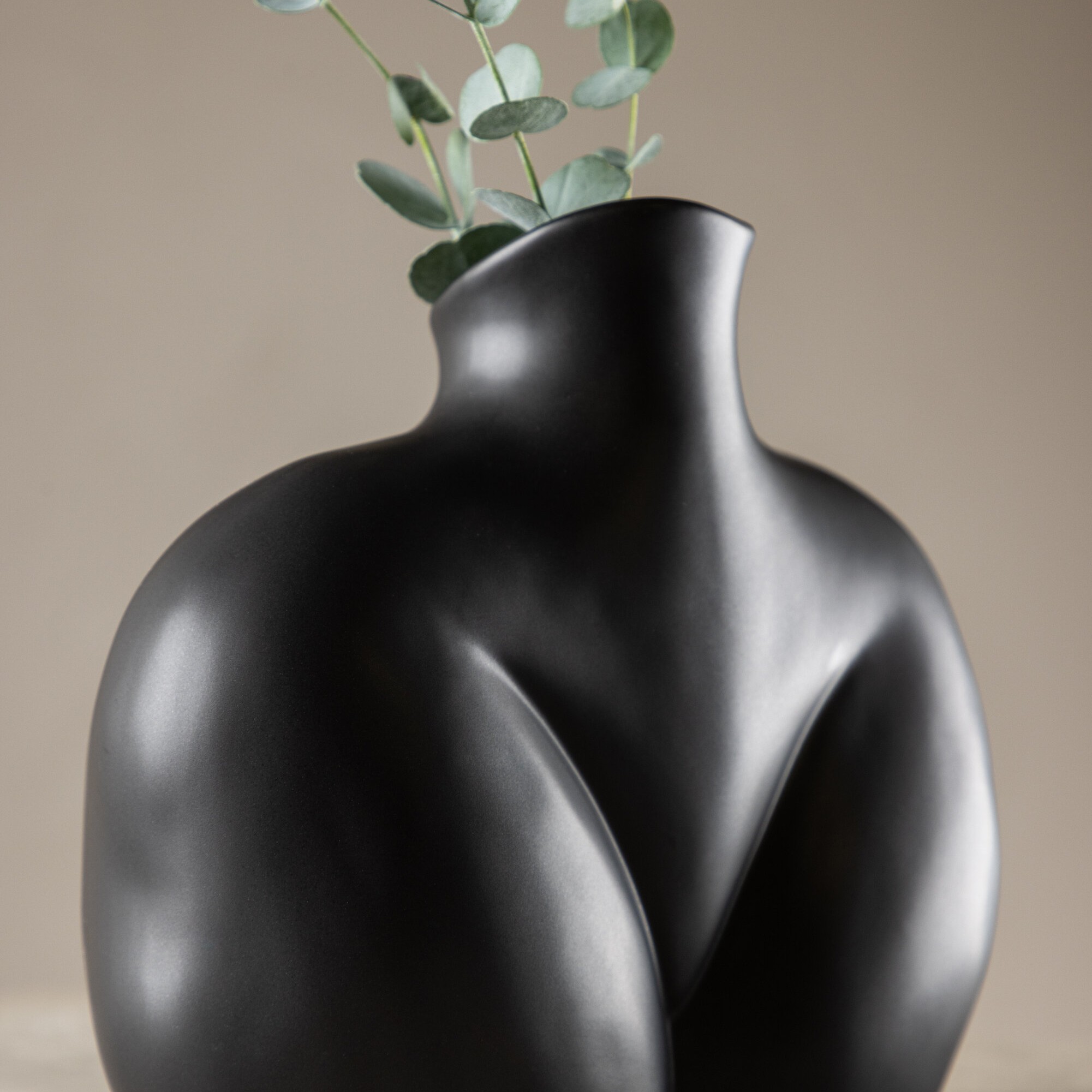 Vas Venture Home Harvey