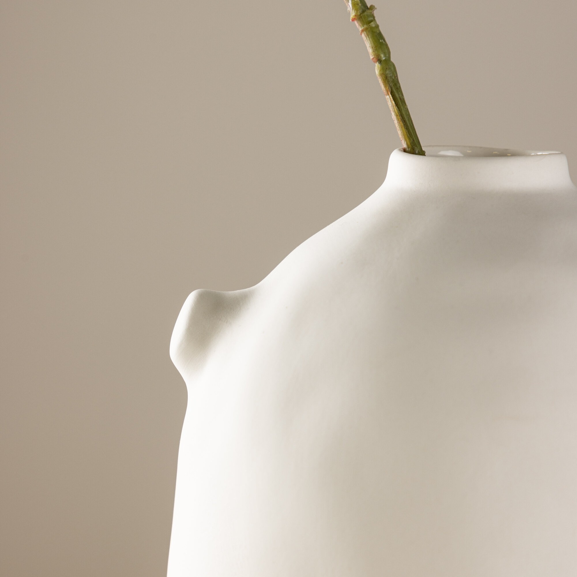 Vas Venture Home Madi