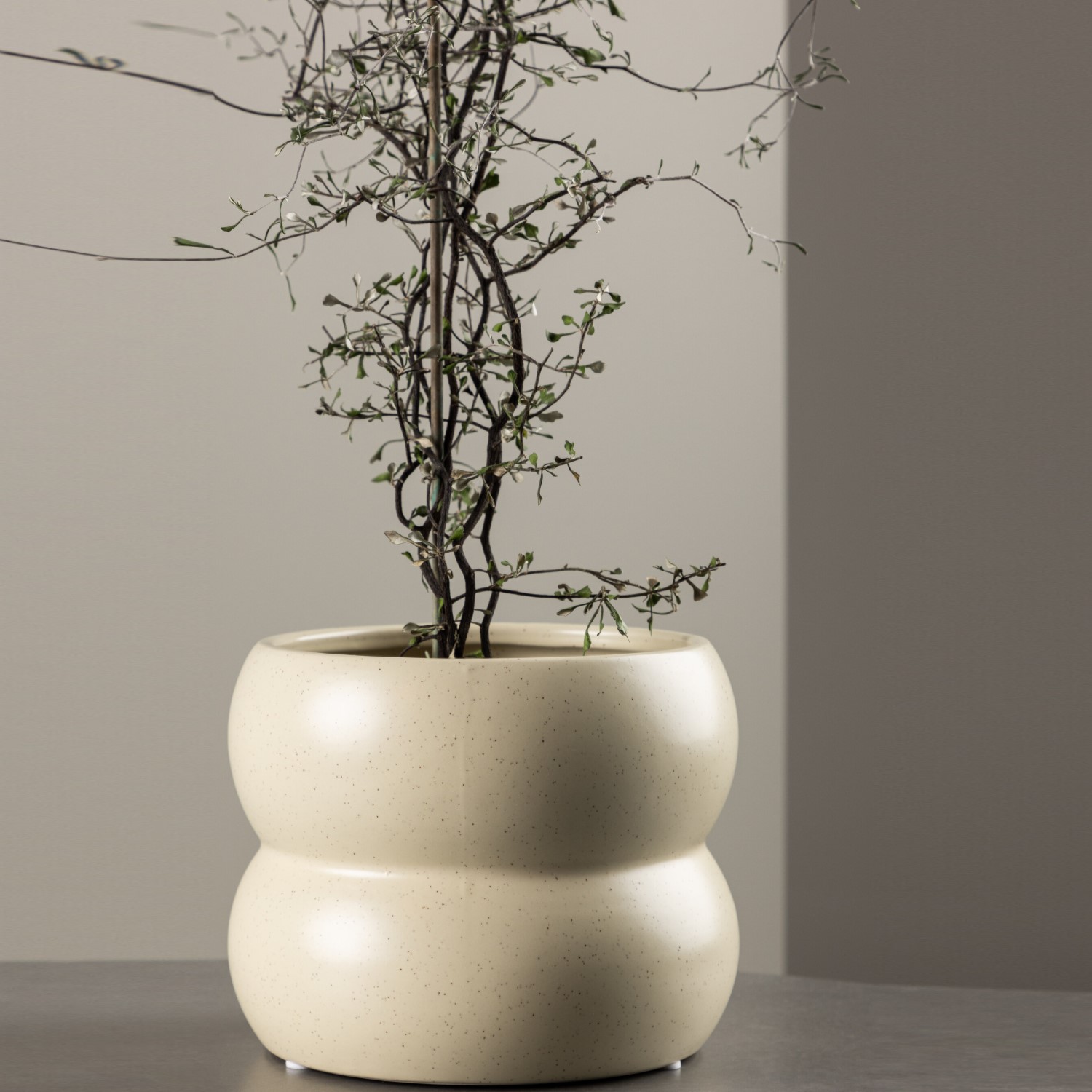 Kruka Venture Home Dapne