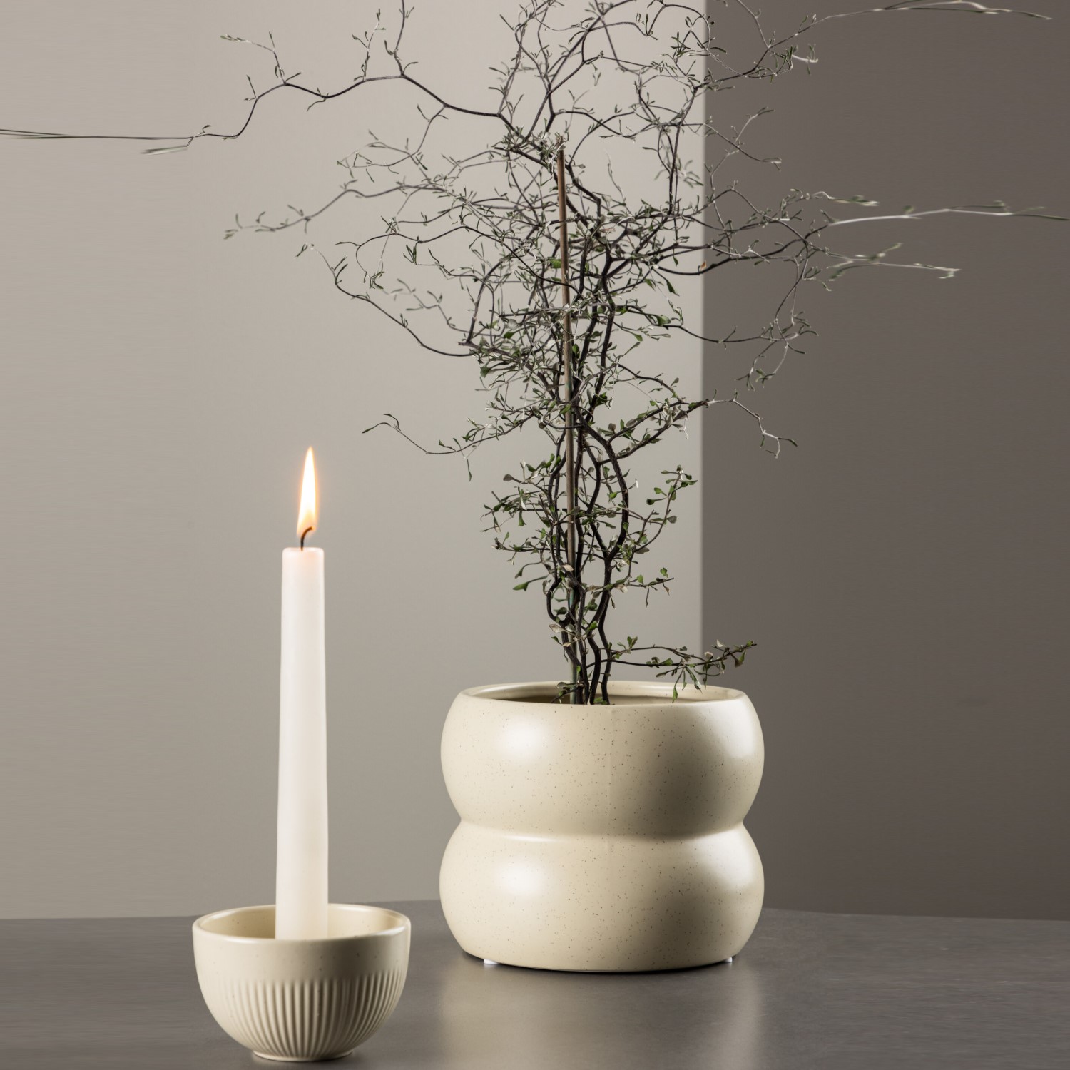 Kruka Venture Home Dapne