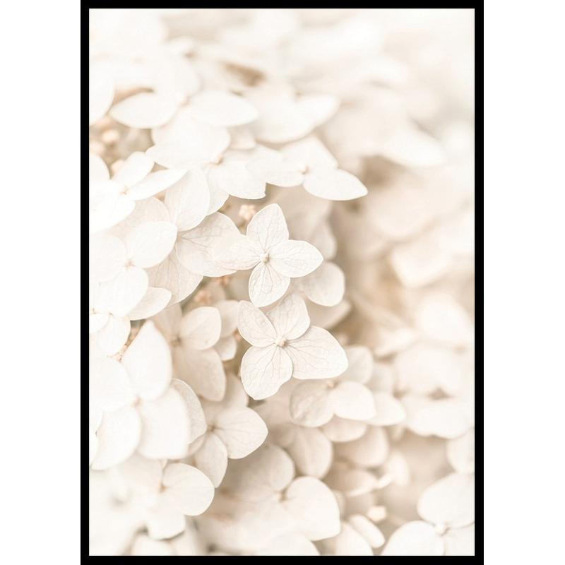 Poster Gallerix Boho Flowers No3