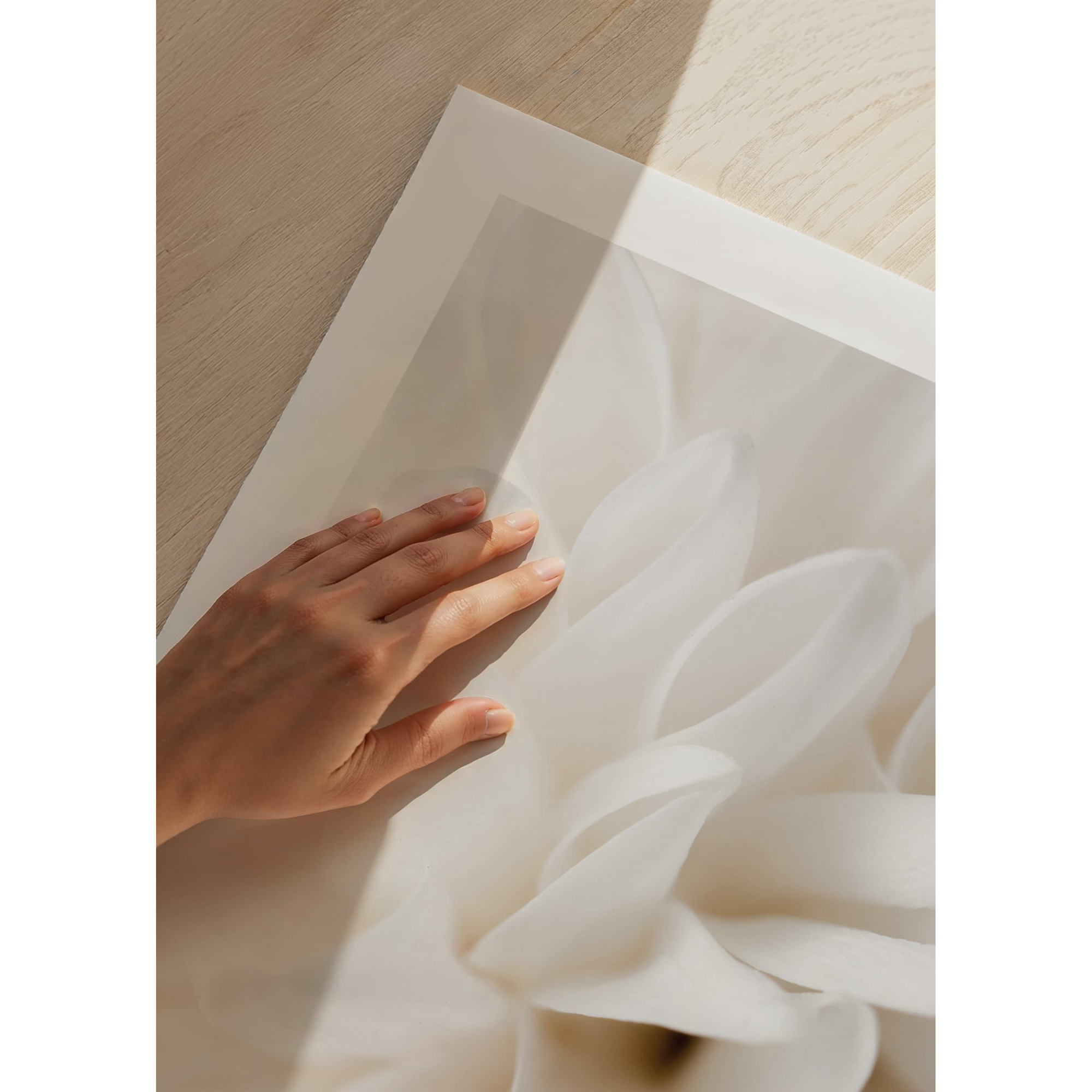 Poster Gallerix Boho Flowers No2