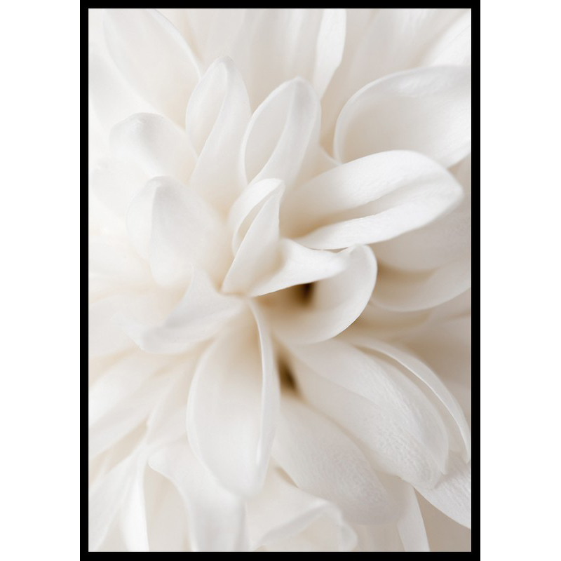 Poster Gallerix Boho Flowers No2