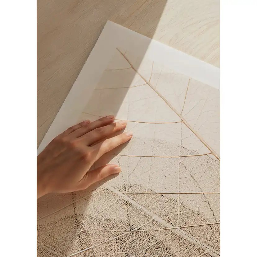 Poster Gallerix Layers Of Thin Leaves