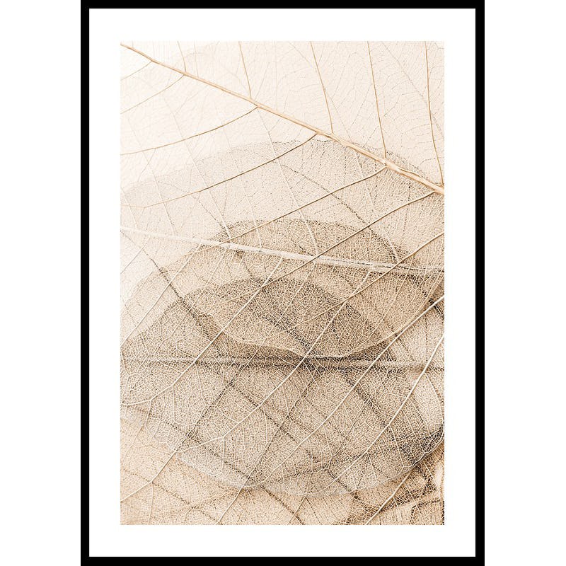 Poster Gallerix Layers Of Thin Leaves