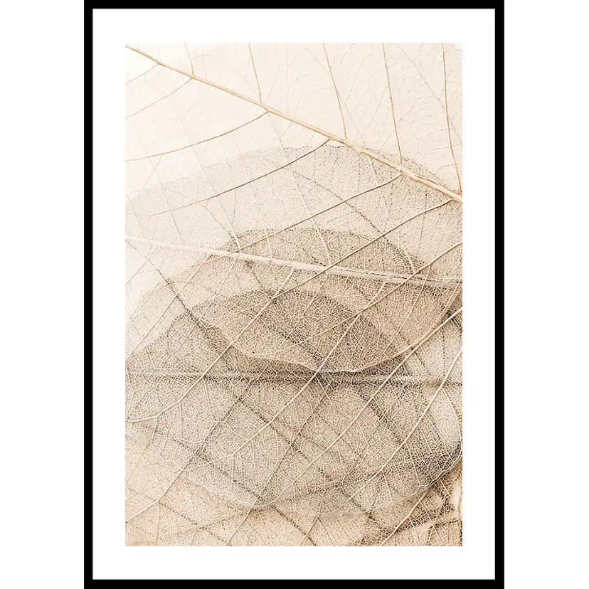 Poster Gallerix Layers Of Thin Leaves