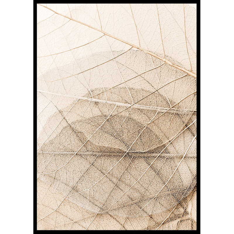 Poster Gallerix Layers Of Thin Leaves