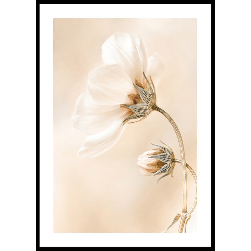 Poster Gallerix Spring Flowers No1