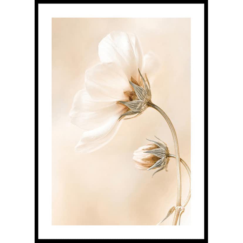 Poster Gallerix Spring Flowers No1