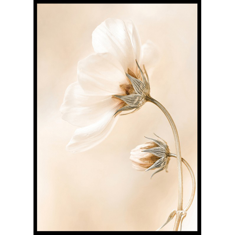 Poster Gallerix Spring Flowers No1