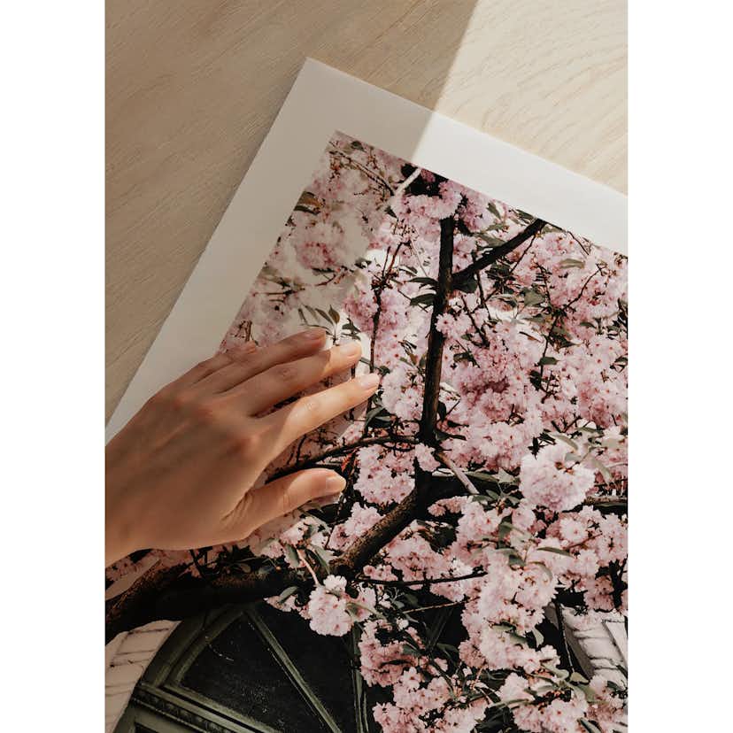 Poster Gallerix Pink Flowers Green Door