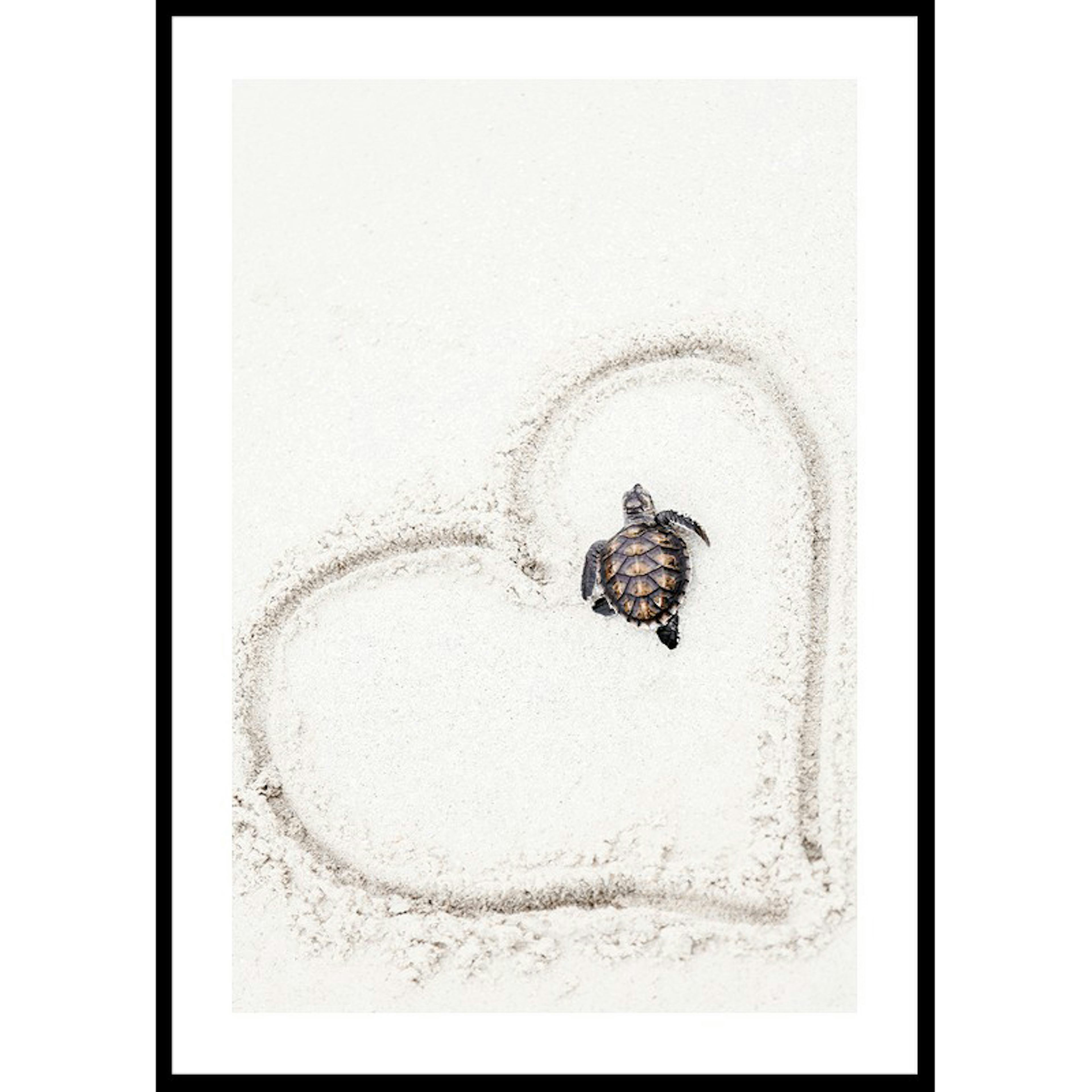 Poster Gallerix Baby Turtle On Beach