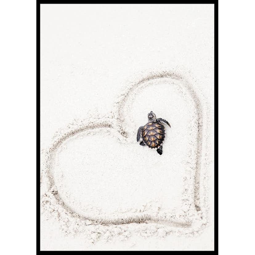 Poster Gallerix Baby Turtle On Beach