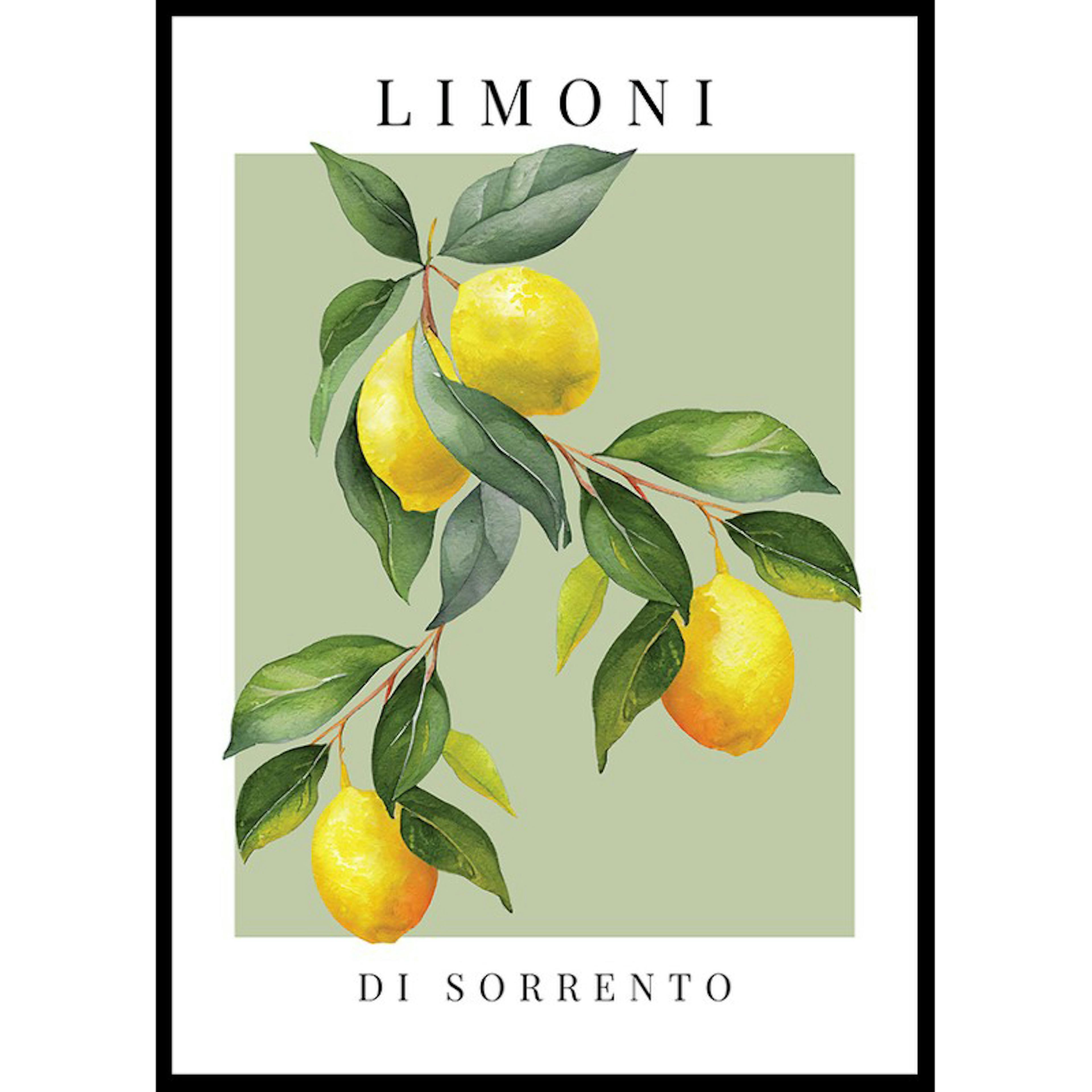 Poster Gallerix Limoni Di Sorrento