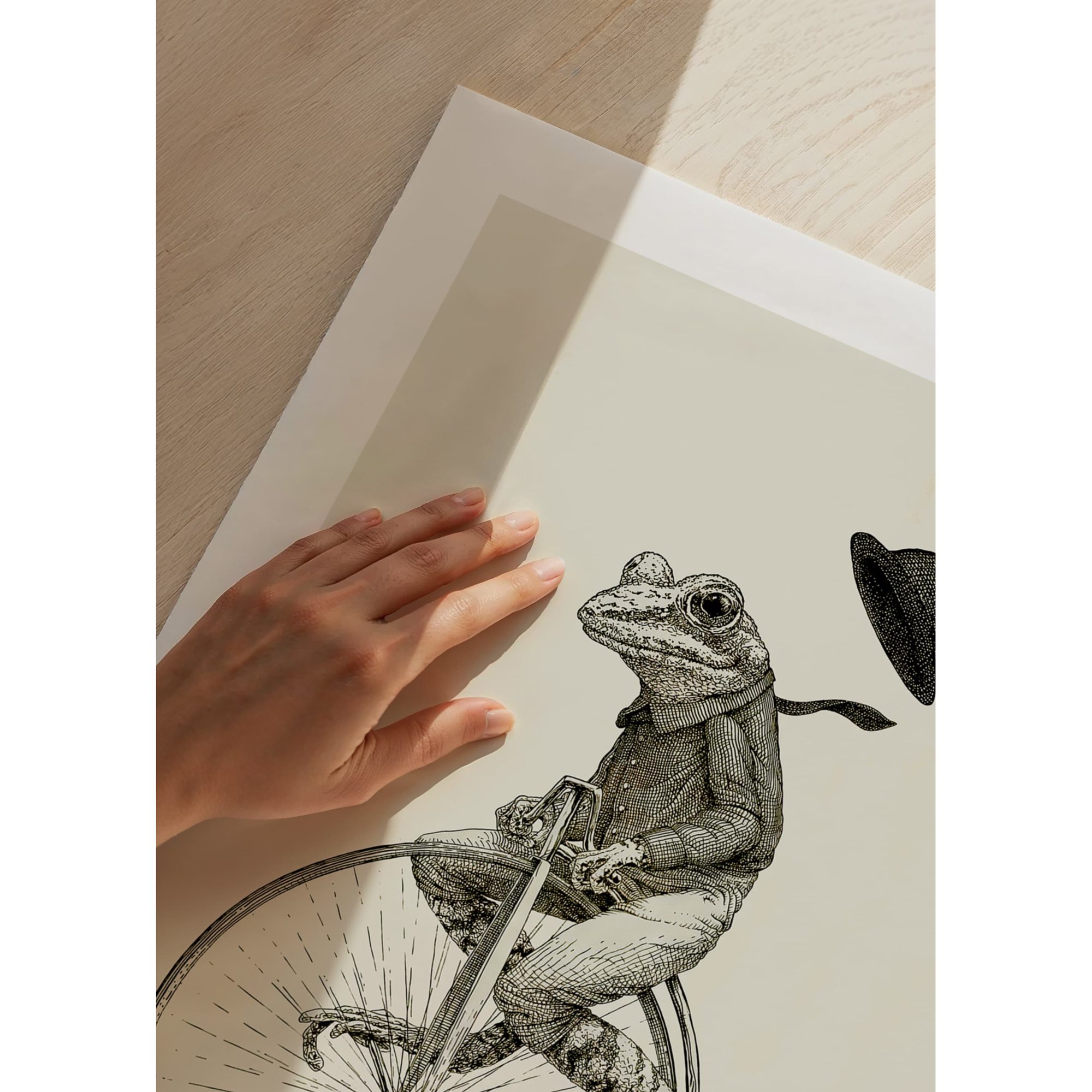 Poster Gallerix Frog On A Bicycle
