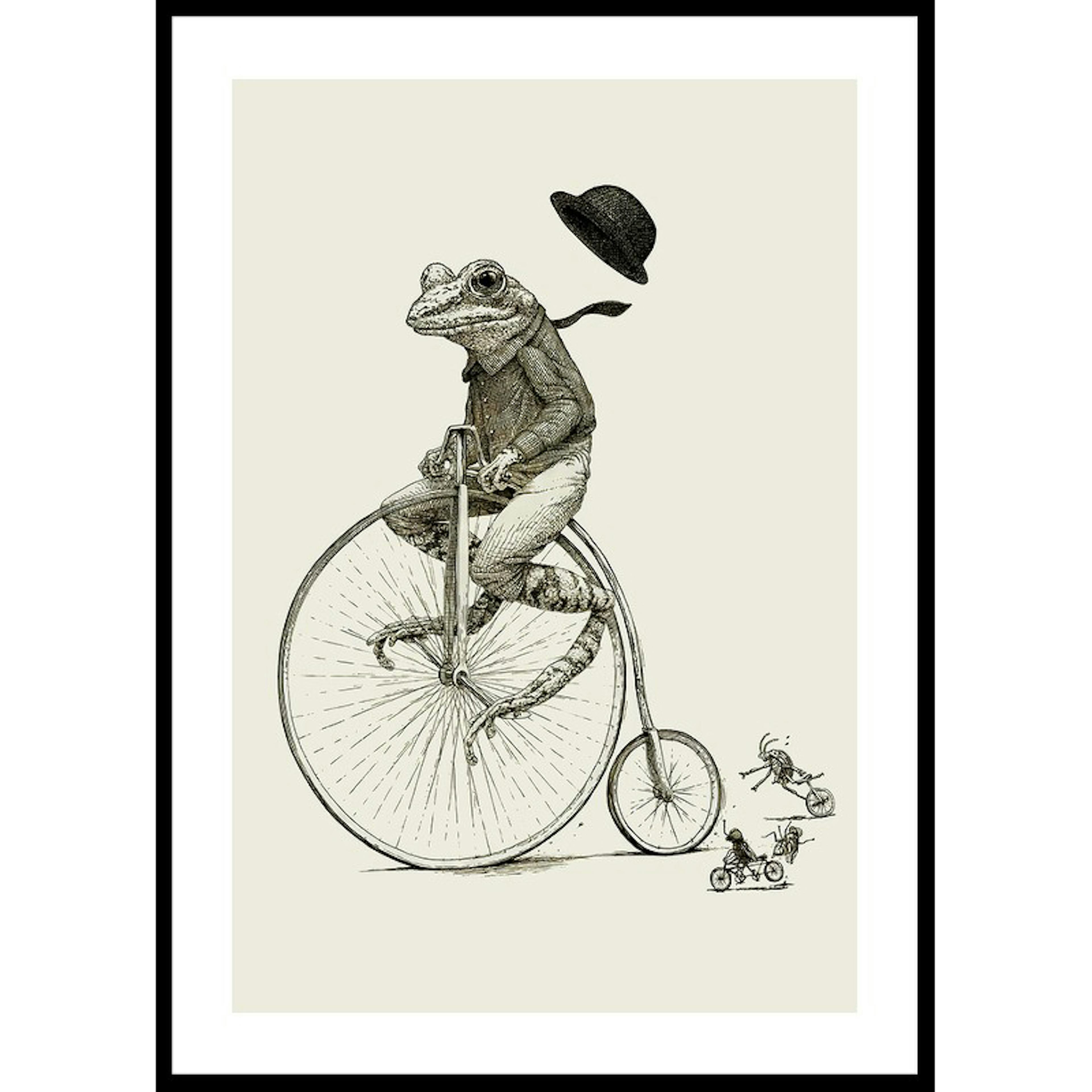 Poster Gallerix Frog On A Bicycle