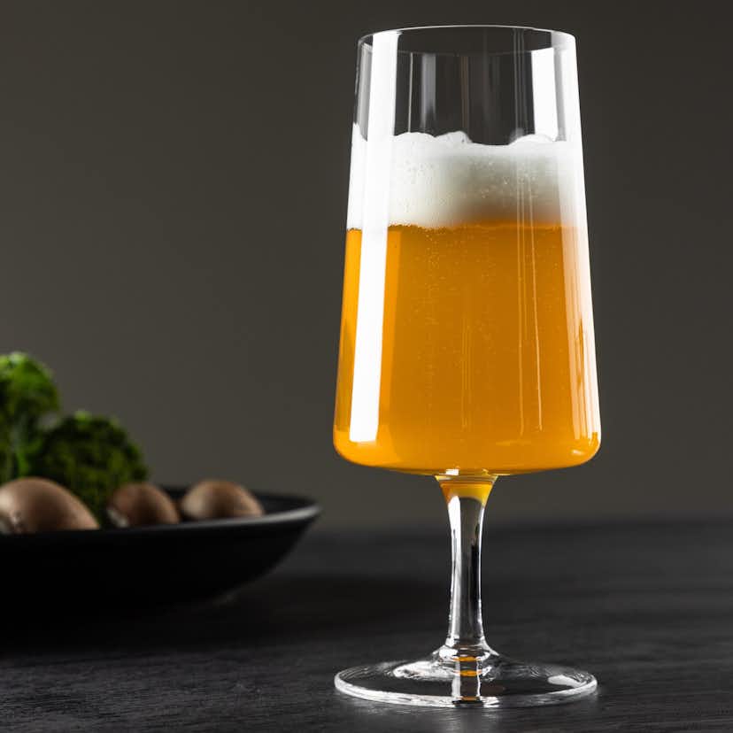 Ölglas Venture Home Shine