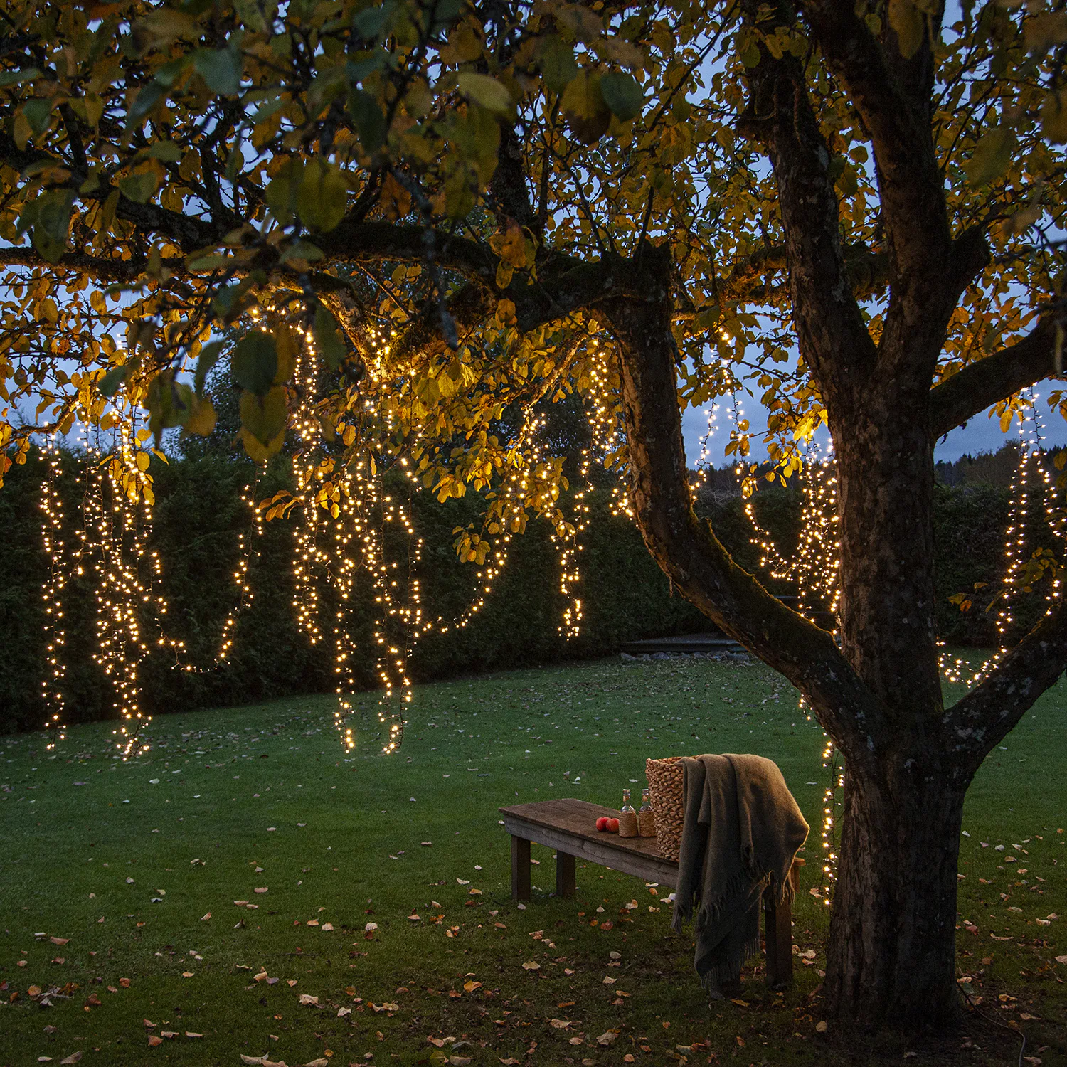 Ljusslinga Star Trading Shiny Warm White