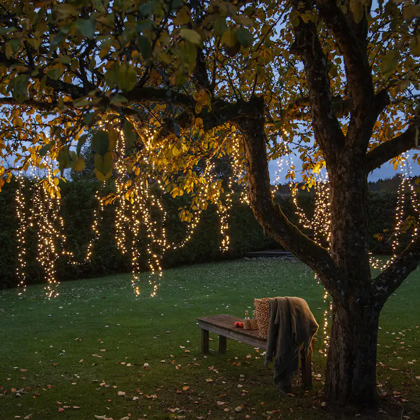 Ljusslinga Star Trading Shiny Warm White