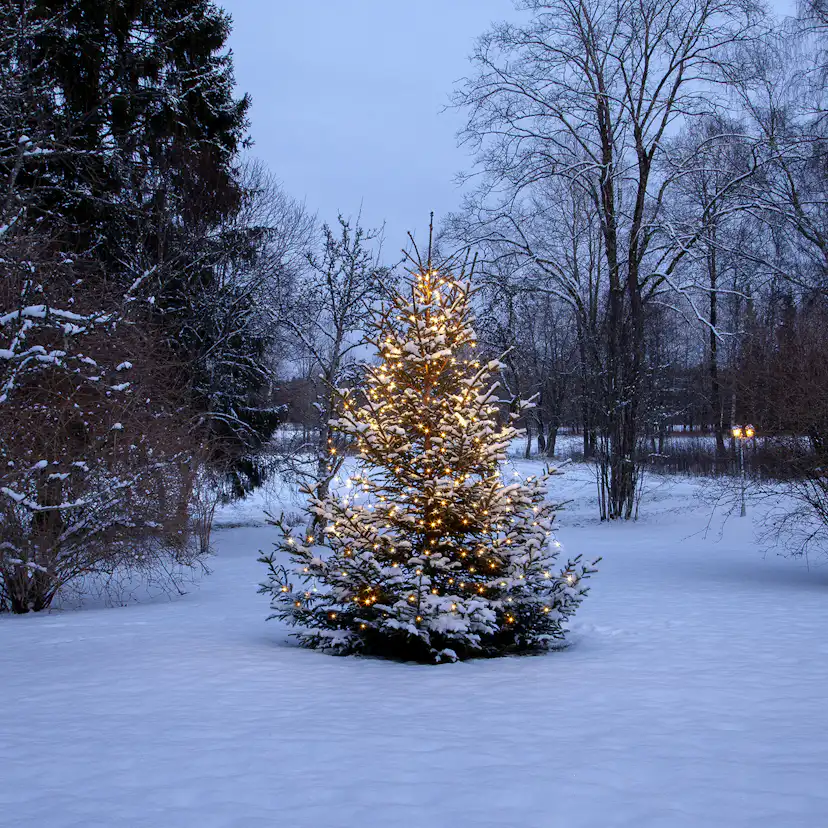 Julgransslinga Star Trading Shiny Warm White