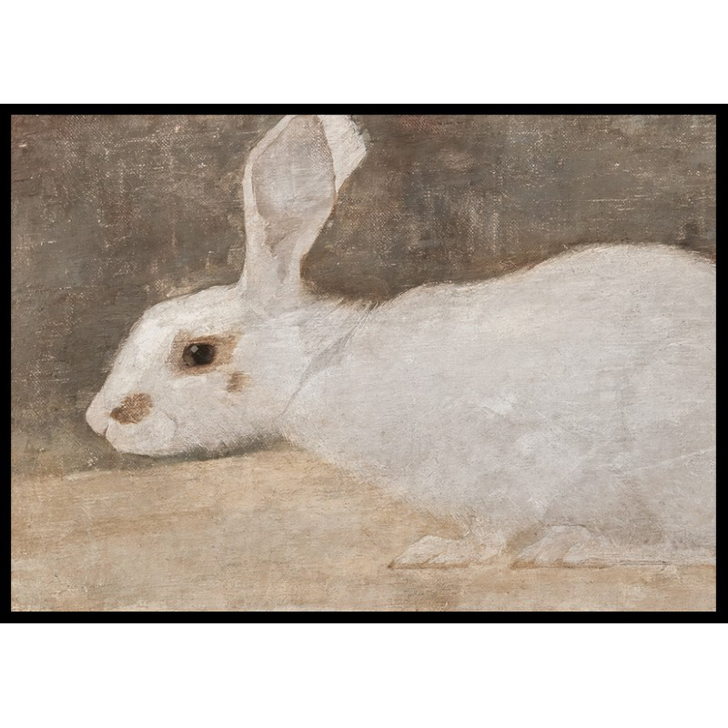 Poster Gallerix Witte Konijn By Jan Mankes