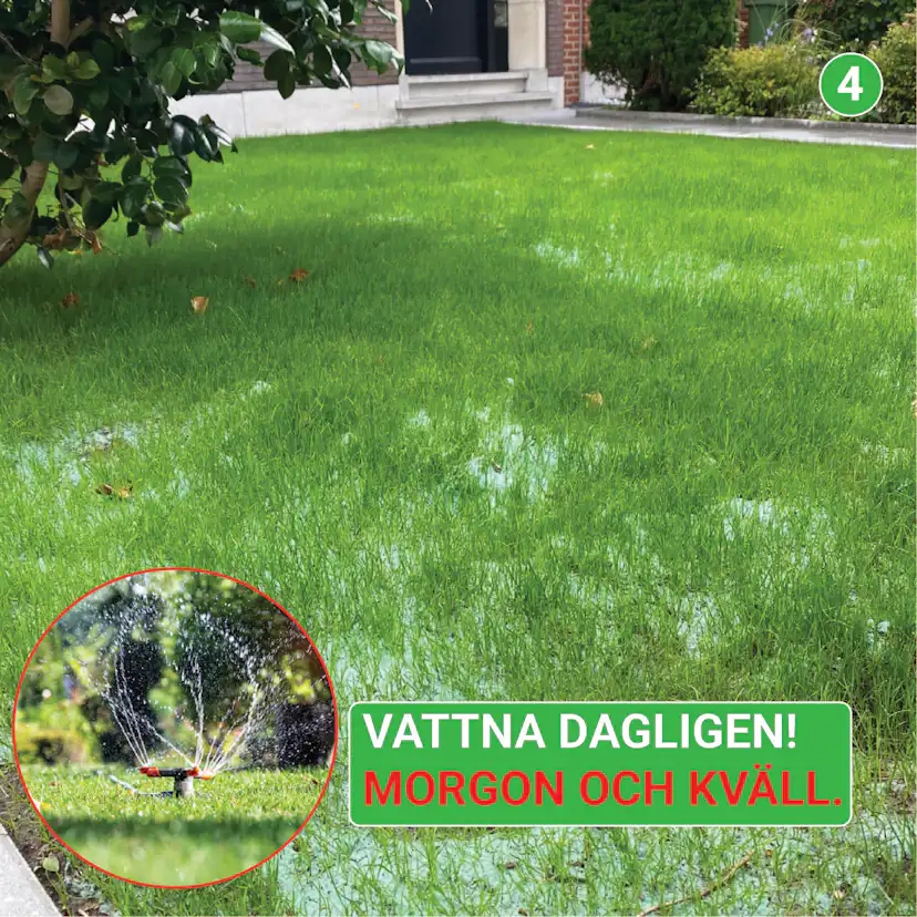 Gräsfrö Turfquick Reparera 5 kvm Gräsmatta för Återställning & Förbättring