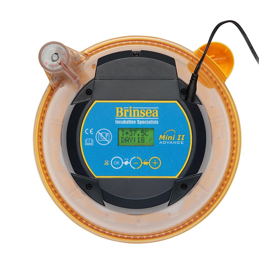 Äggkläckare Brinsea Mini II Advance