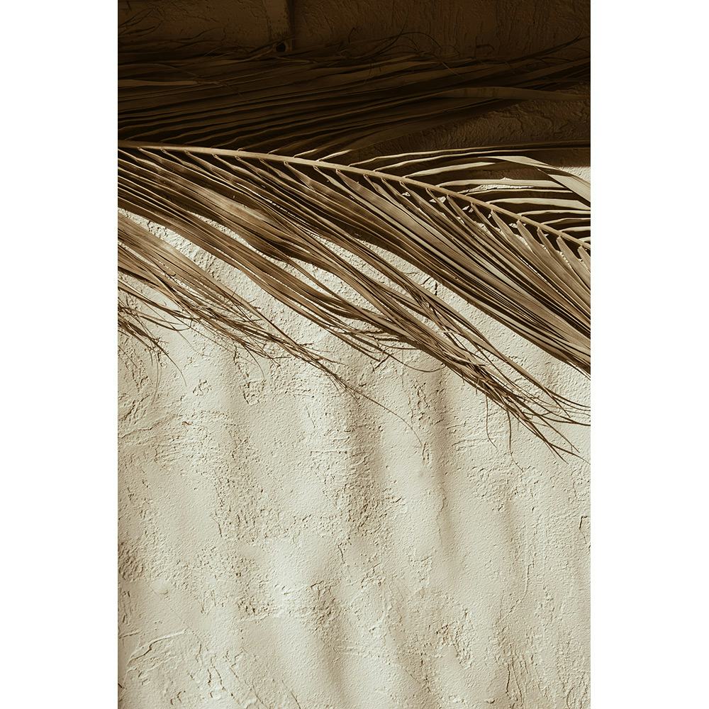 Posters Venture Home Dessert Beige