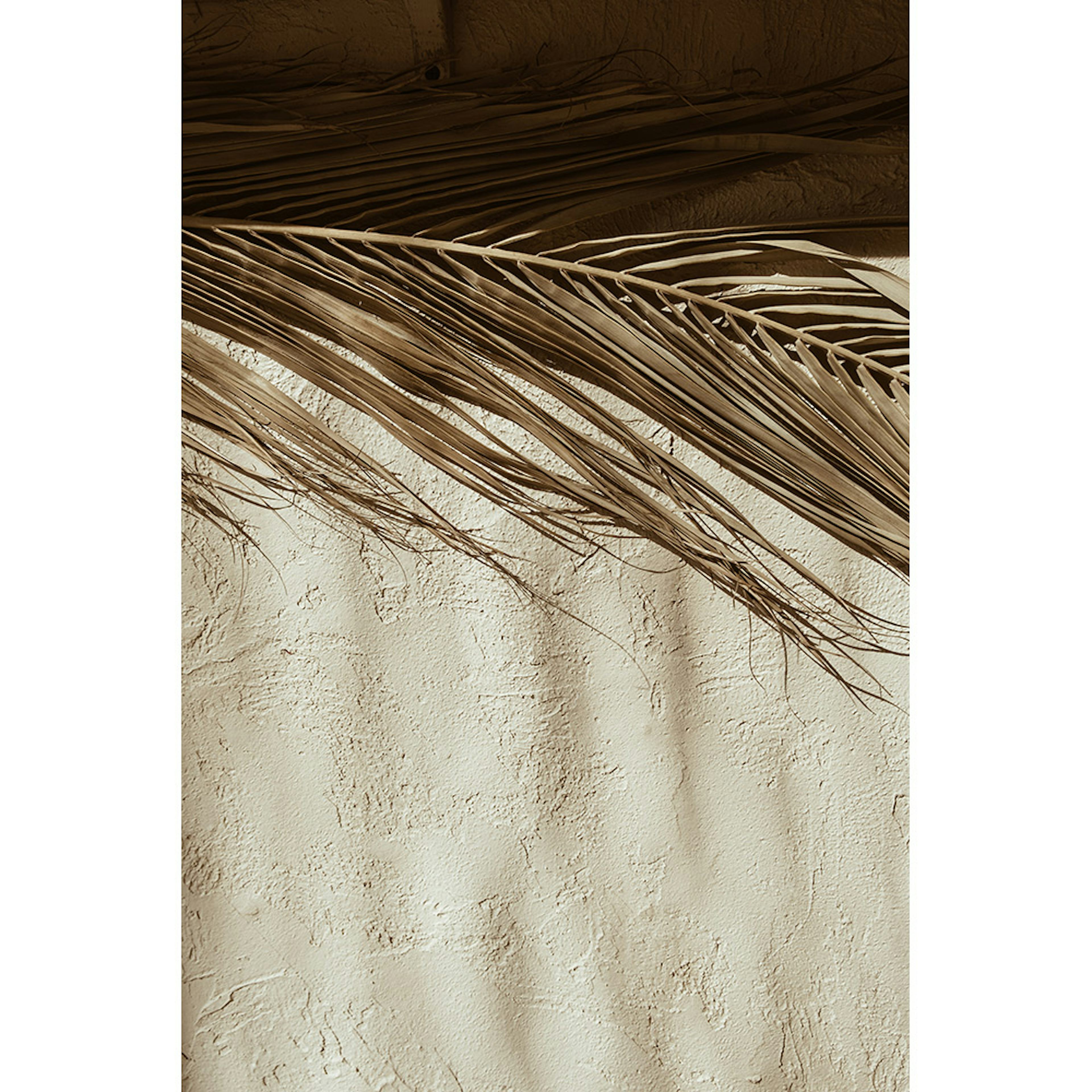 Posters Venture Home Dessert Beige