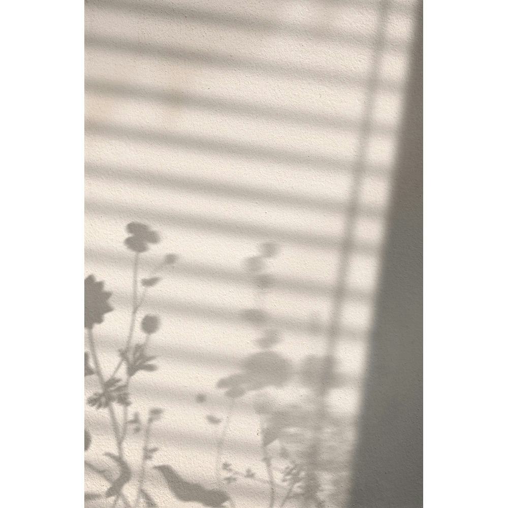 Posters Venture Home Flower Shadow Vit