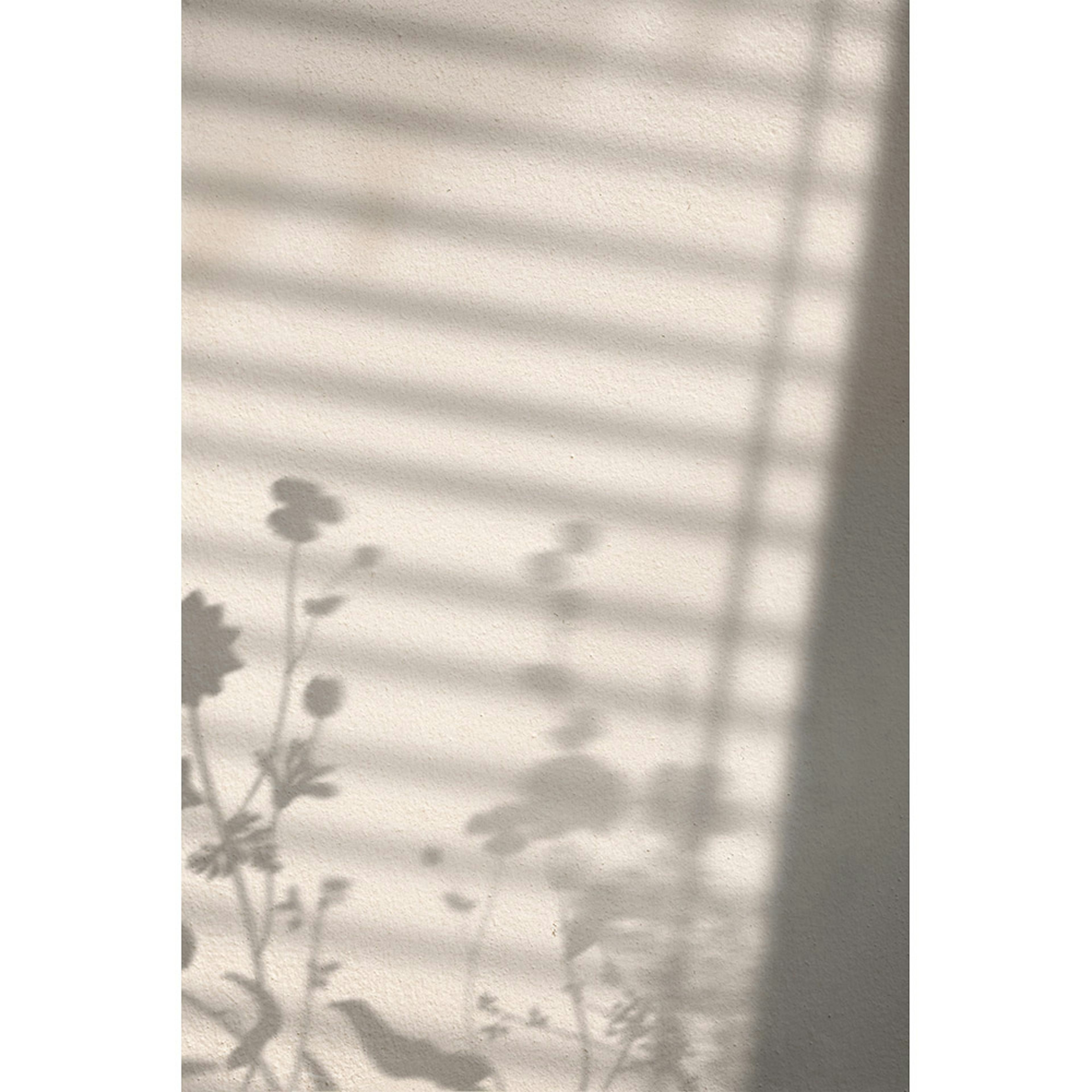 Posters Venture Home Flower Shadow Vit