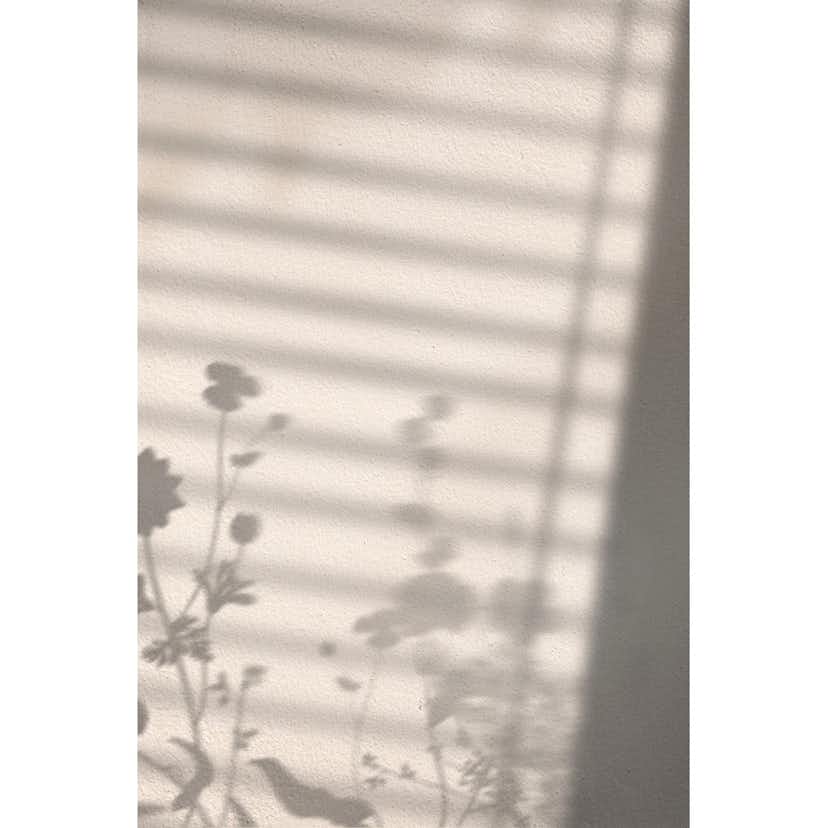 Posters Venture Home Flower Shadow Vit