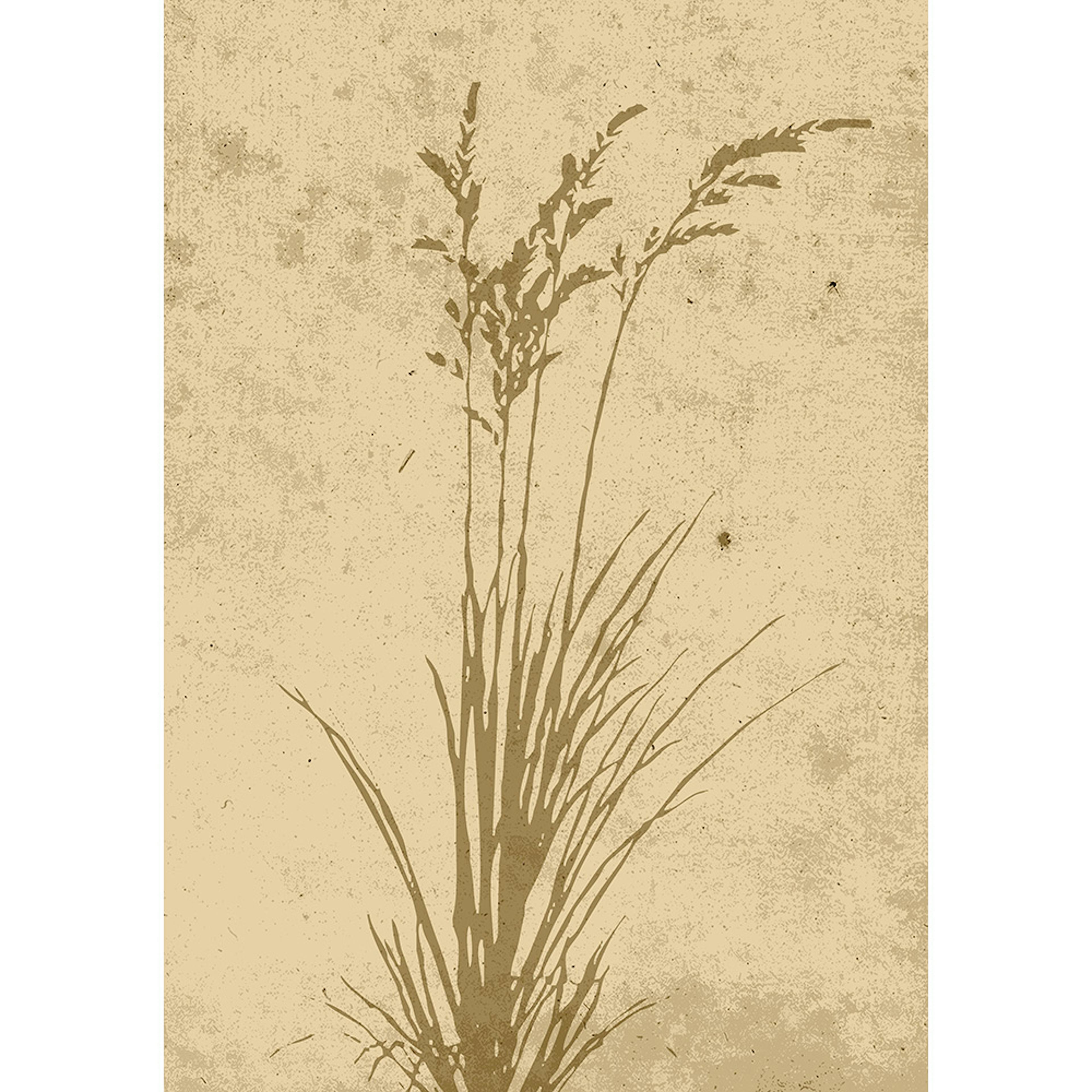 Posters Venture Home Plant Art Beige