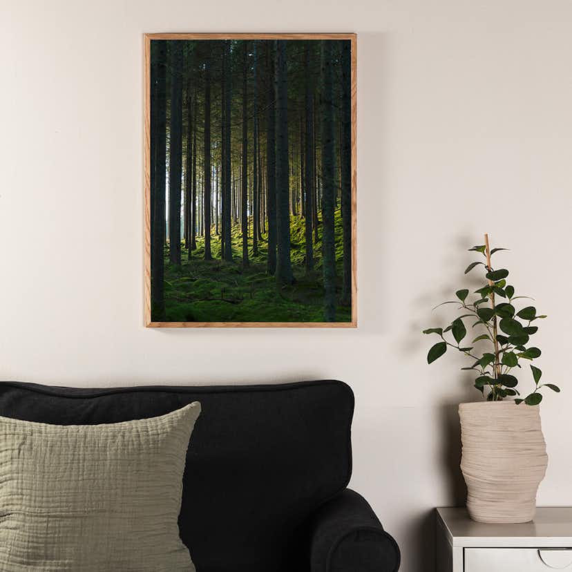 Posters Venture Home Woods Svart/grön