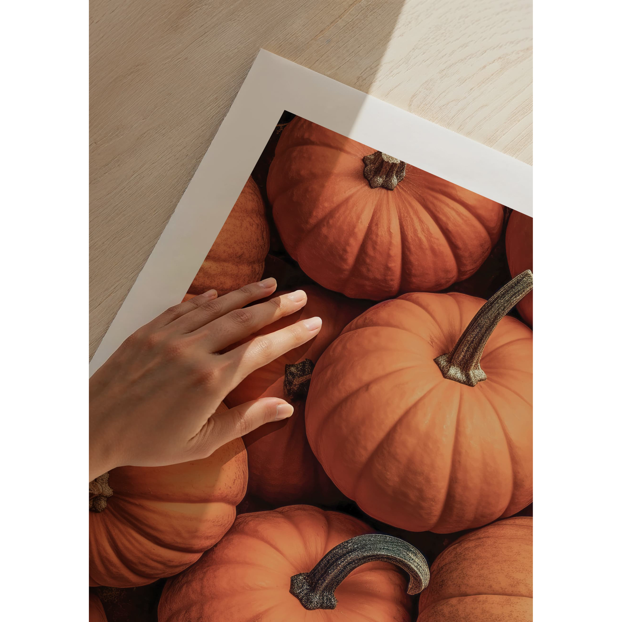 Poster Gallerix Pumpkins