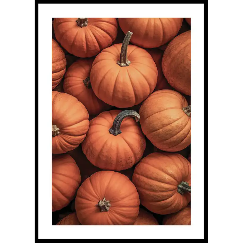Poster Gallerix Pumpkins