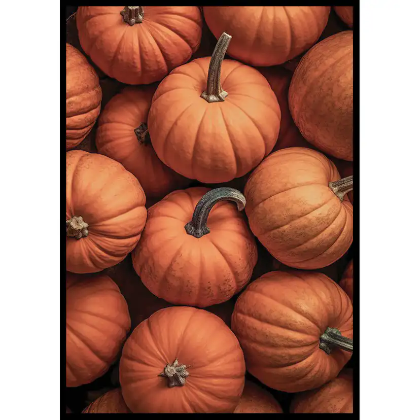 Poster Gallerix Pumpkins