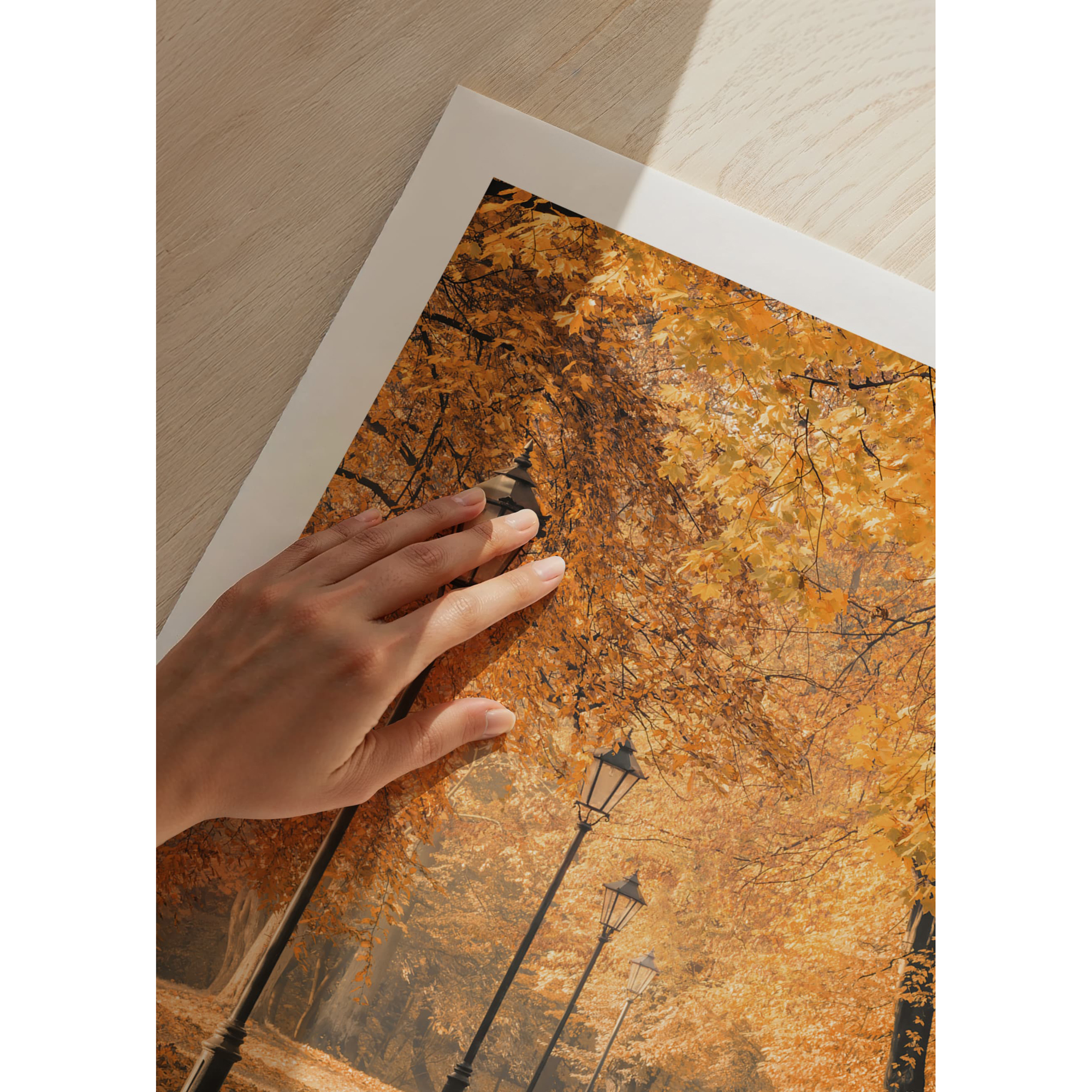 Poster Gallerix Autumn Walkway