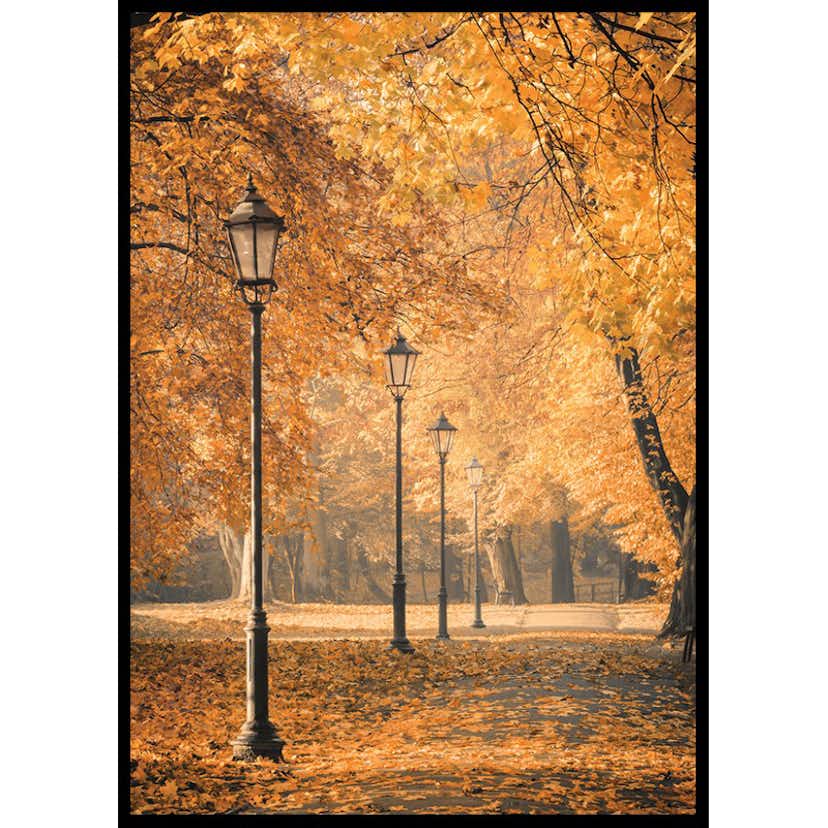 Poster Gallerix Autumn Walkway