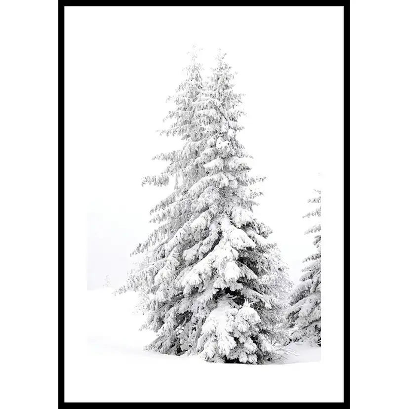 Poster Gallerix Snow Covered Pine Trees