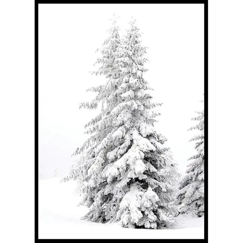 Poster Gallerix Snow Covered Pine Trees