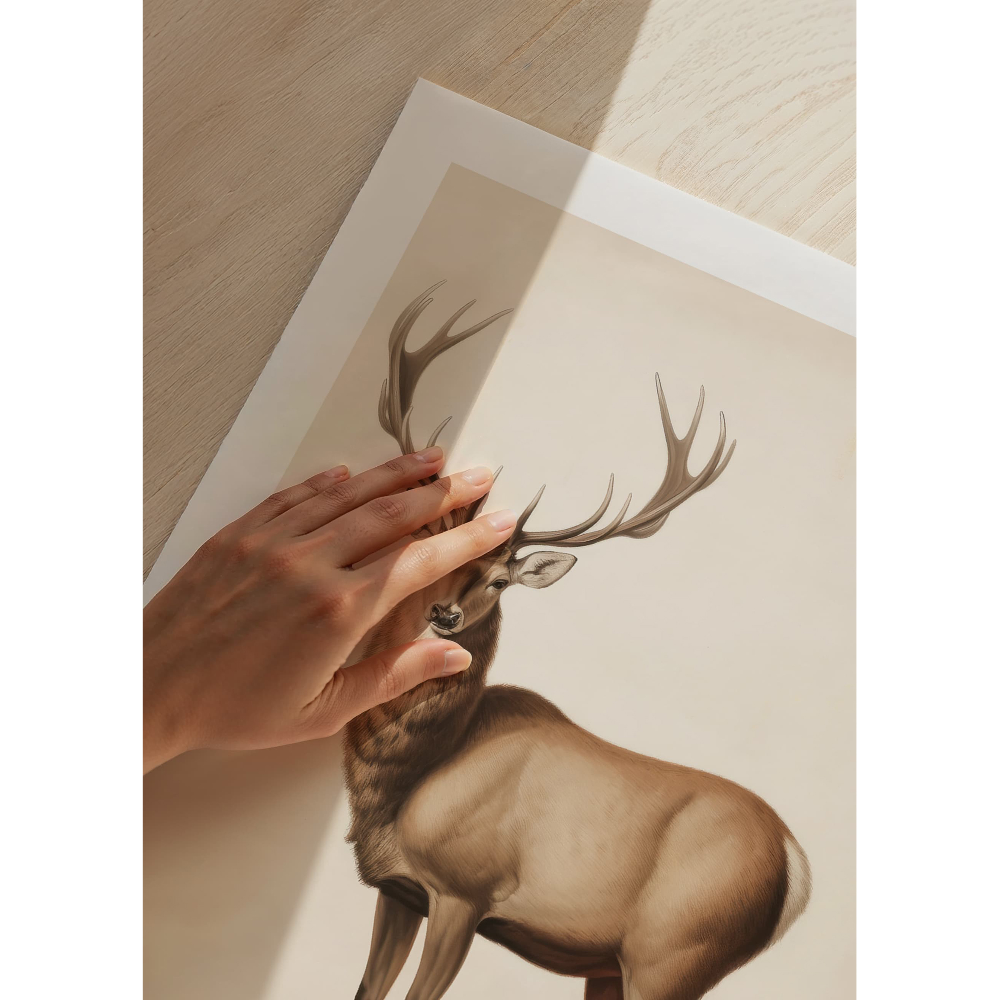 Poster Gallerix Brown Deer