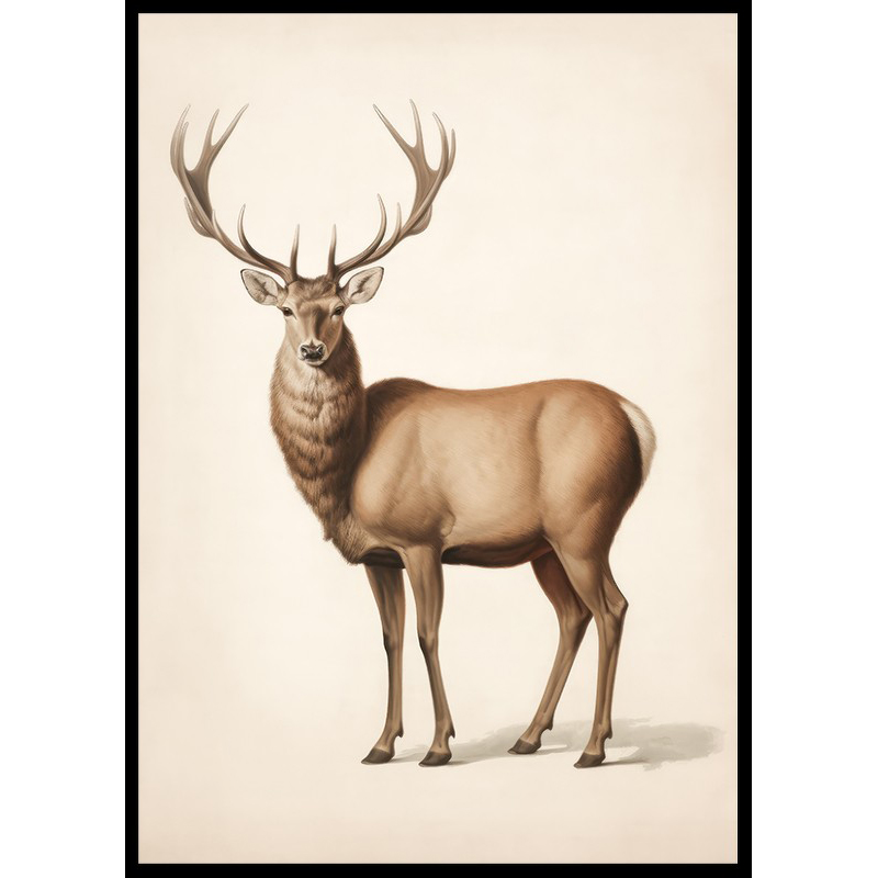 Poster Gallerix Brown Deer