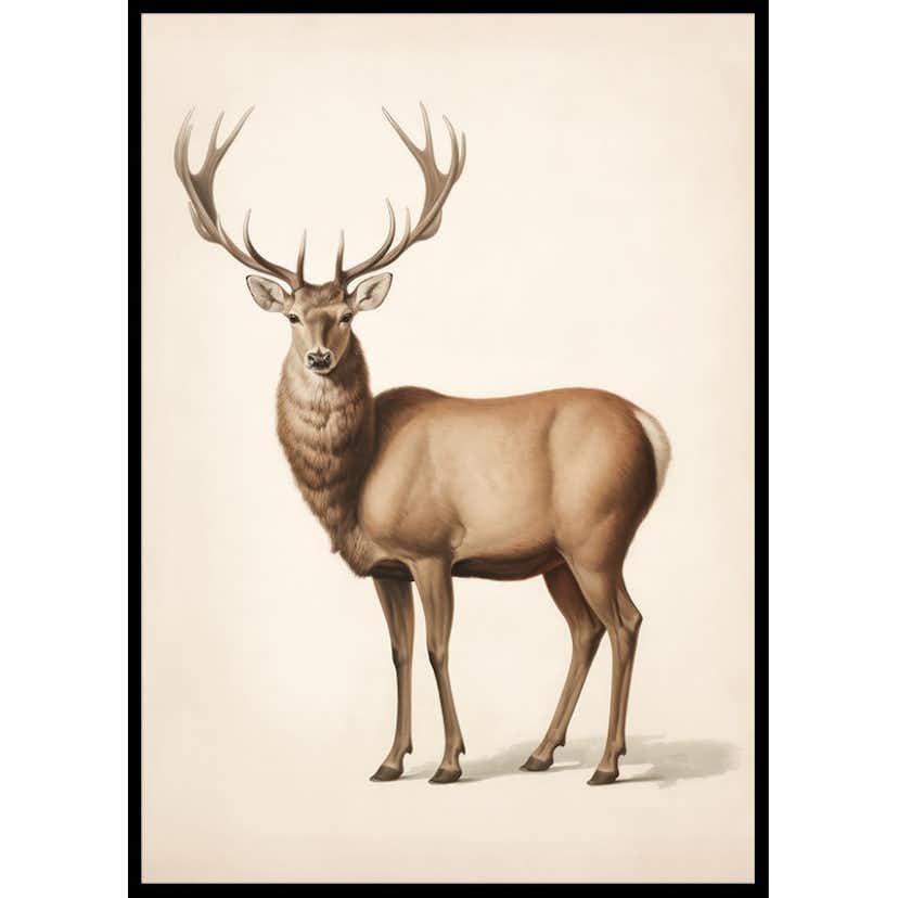 Poster Gallerix Brown Deer