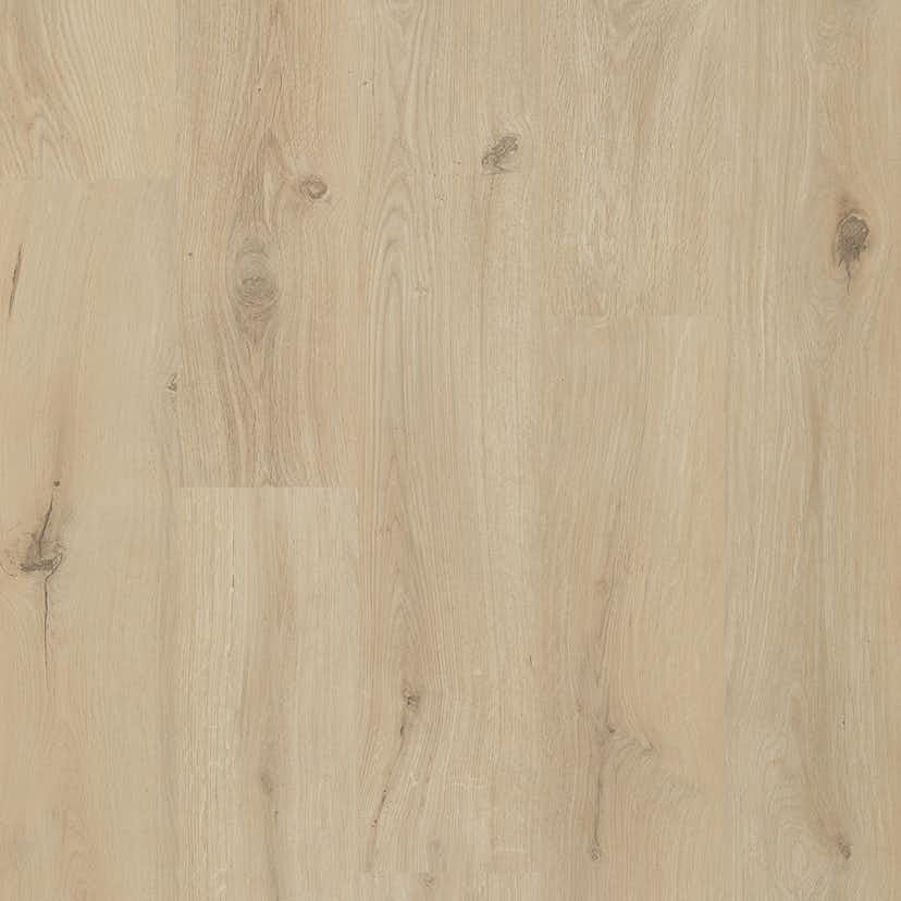 Laminatgolv BerryAlloc Ocean 8 V4 Gyant Sand Natural