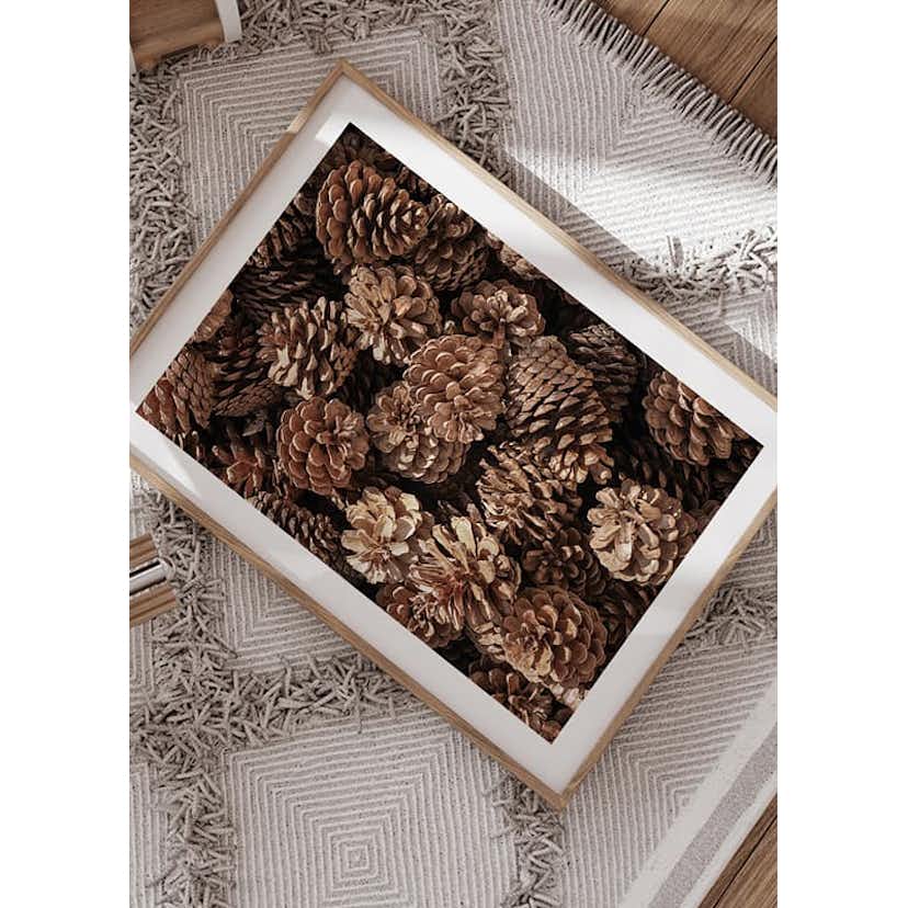 Poster Gallerix Fir Cones Close Up