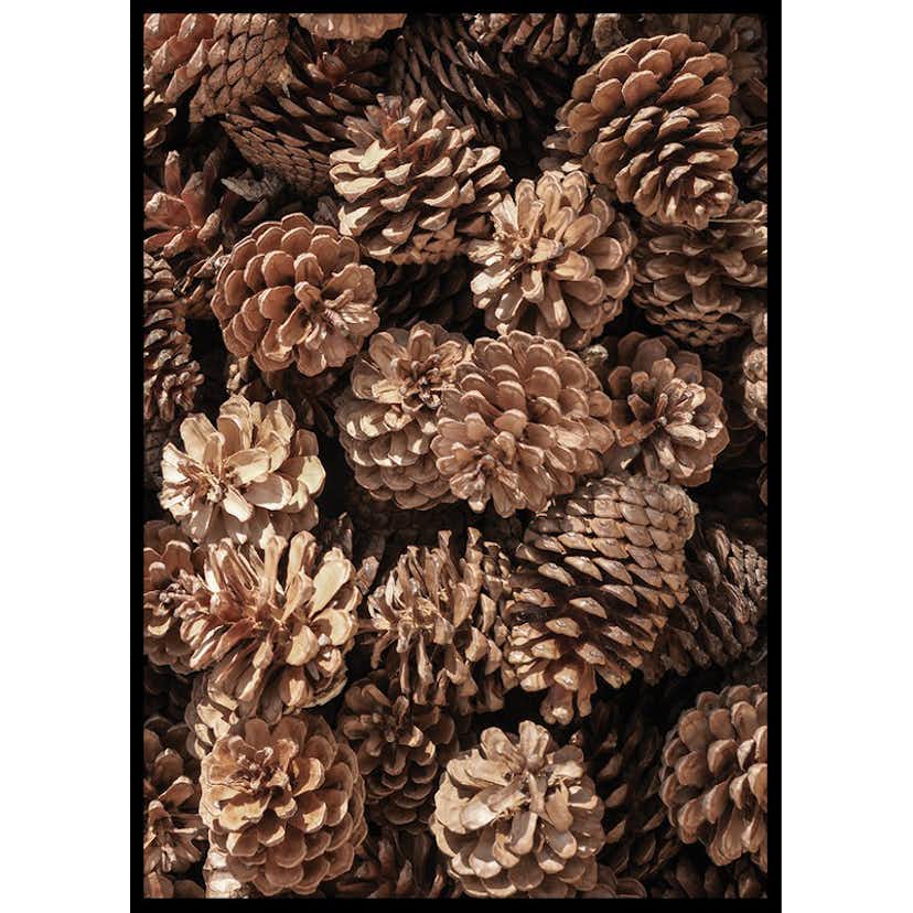 Poster Gallerix Fir Cones Close Up