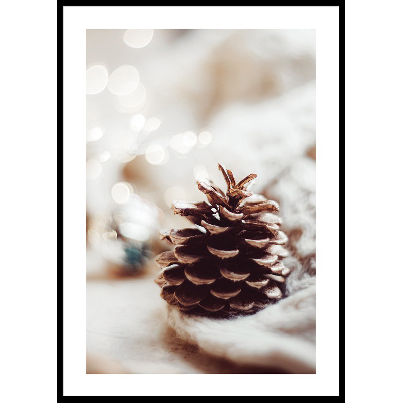 Poster Gallerix Fir Cone