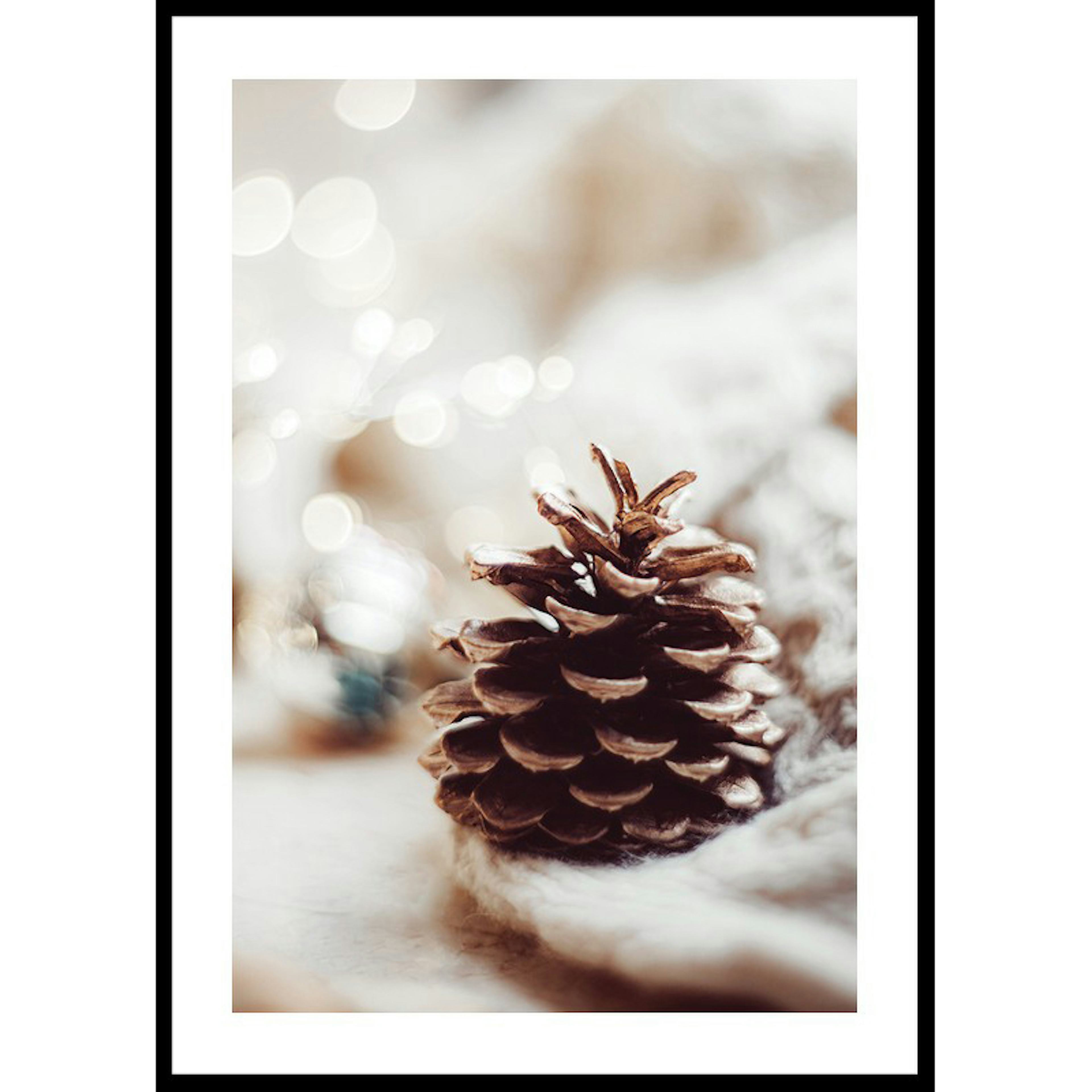 Poster Gallerix Fir Cone