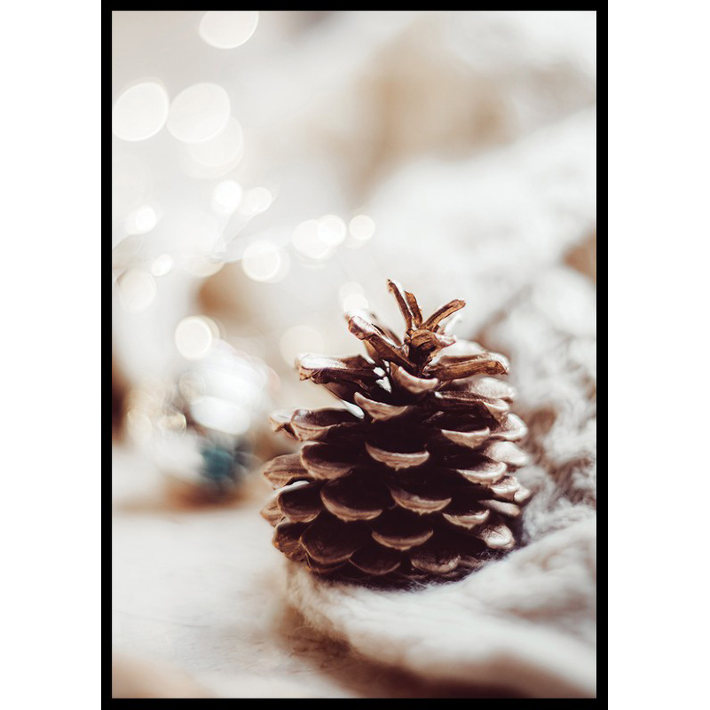 Poster Gallerix Fir Cone